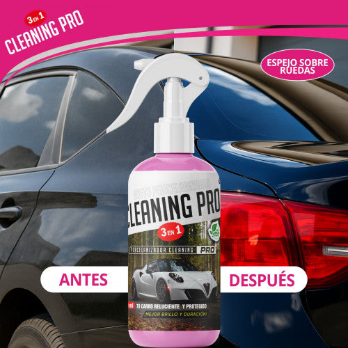 Cleaning Pro 3 en 1